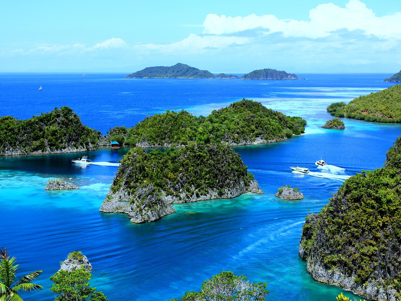 piaynemo, nature, raja ampat, indonesia, west papua, sea, landscape, view, ocean, vacation, islands, waves